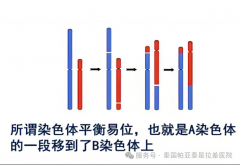 ����̥ͣ���������ҵ�Ⱦɫ���쳣�ġ���ҩ��