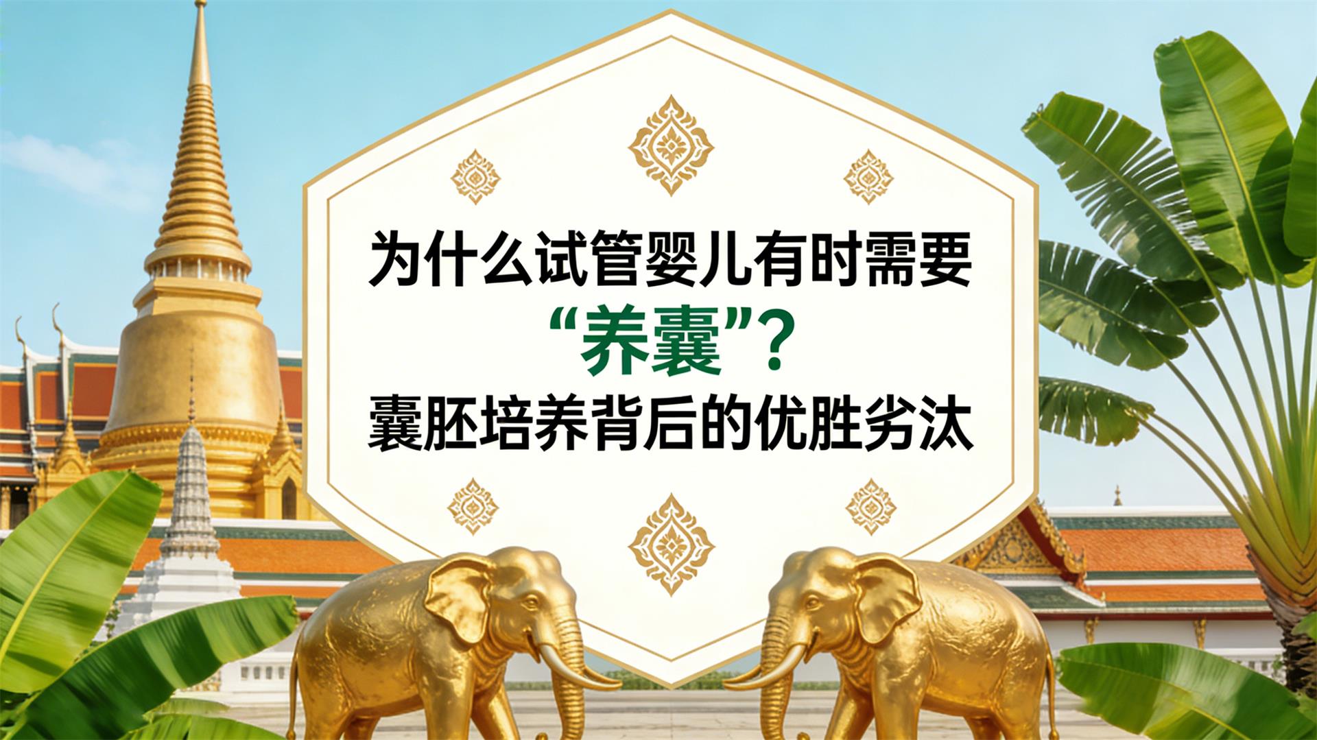 Ϊʲô�Թ�Ӥ����ʱ��Ҫ�����ҡ������������������ʤ��̭