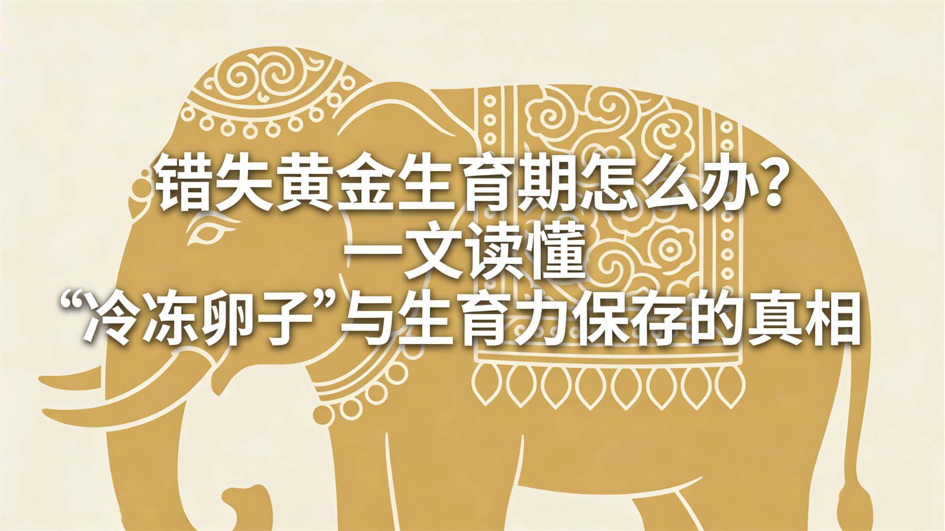 ��ʧ�ƽ���������ô�죿һ�Ķ������䶳���ӡ������������������